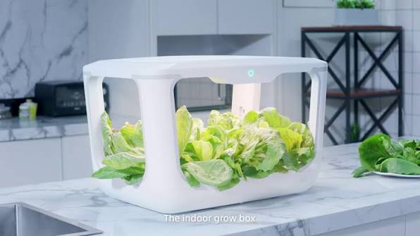 How to Fix a Lagging Smart Farm: Practical Steps to Rescue Yield and Cut Waste